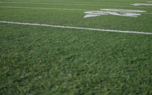 Petition for Synthetic All-Weather Playing Surface