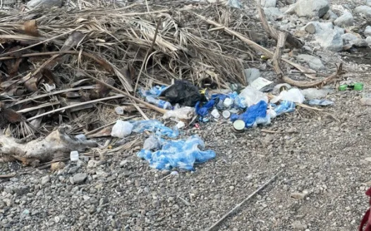 Ban Single-Use Plastics: Protect Our Planet and Future!