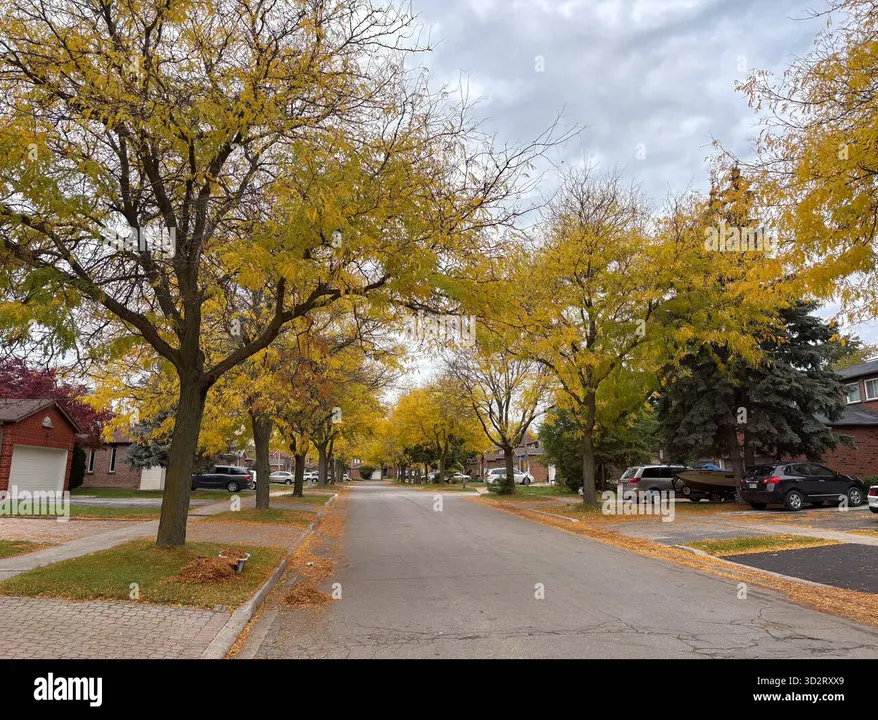 Petition for Oakwood Village MLS district