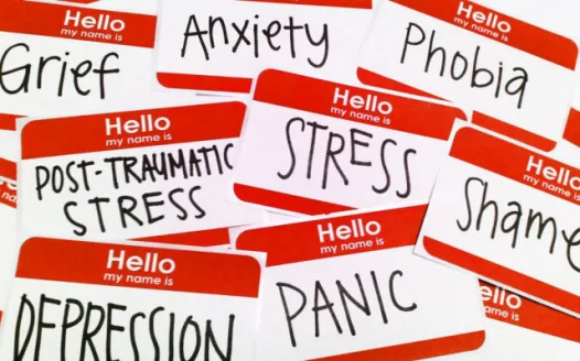 Mandatory Mental Health Class