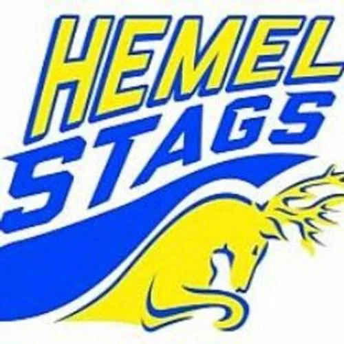 We are HEMEL Stags, not Dewsbury.