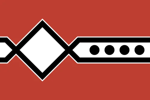 Change Mars' Flag!