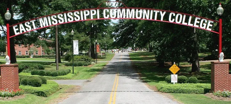 EMCC CIS Online Course Alternatives