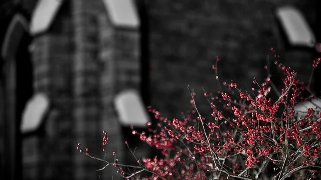 Lift the Ban on Women in Ministry