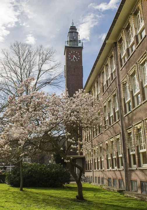 Tropenrooster op het Vossius