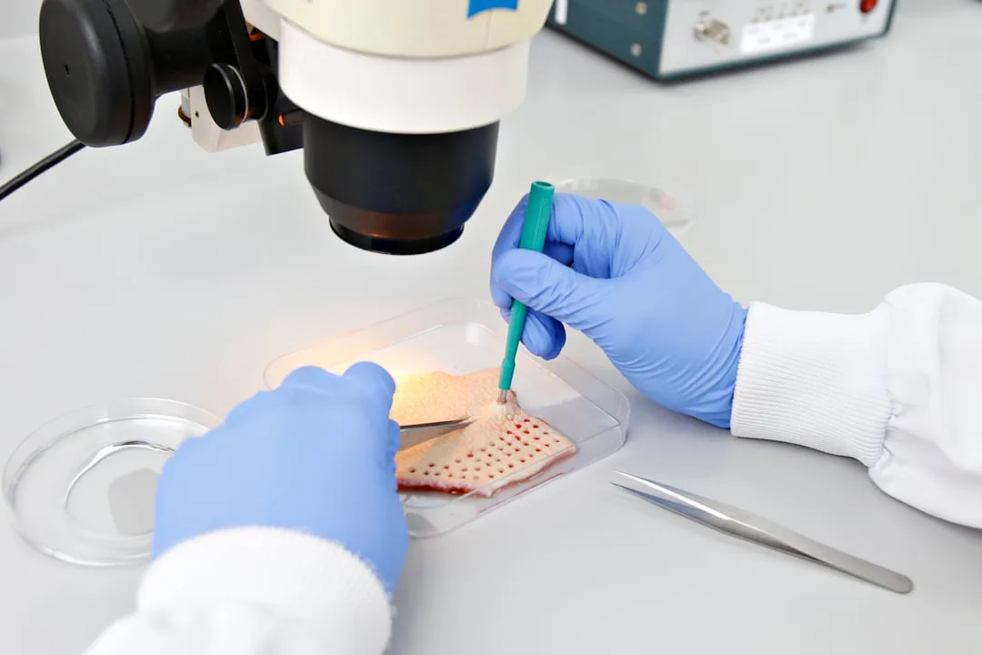 Government Support Of Independant Study On Unexplained Dermopathy Known as "Morgellons"