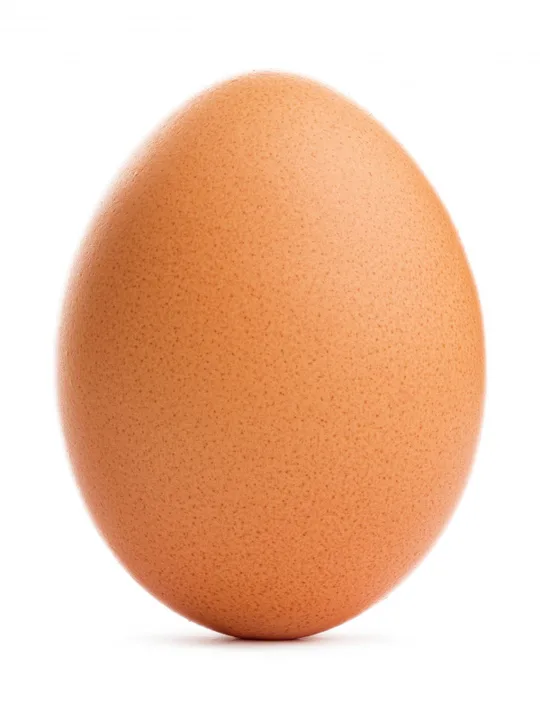 EggoTheDamo