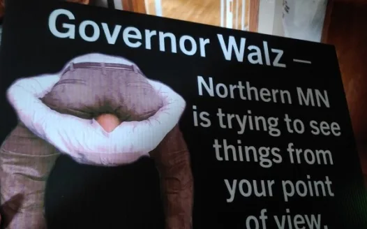Recall Governor Walz of Minnesota