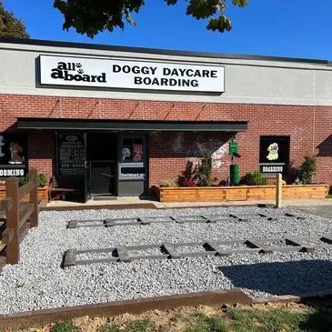 Southington Ct needs dog overnight care!