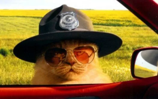 Mr. Whiskers for Badlands LSPD