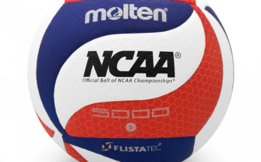 Start a volleyball program in York County schools