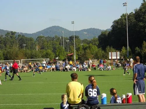Support the JBL Turf Replacement Plan