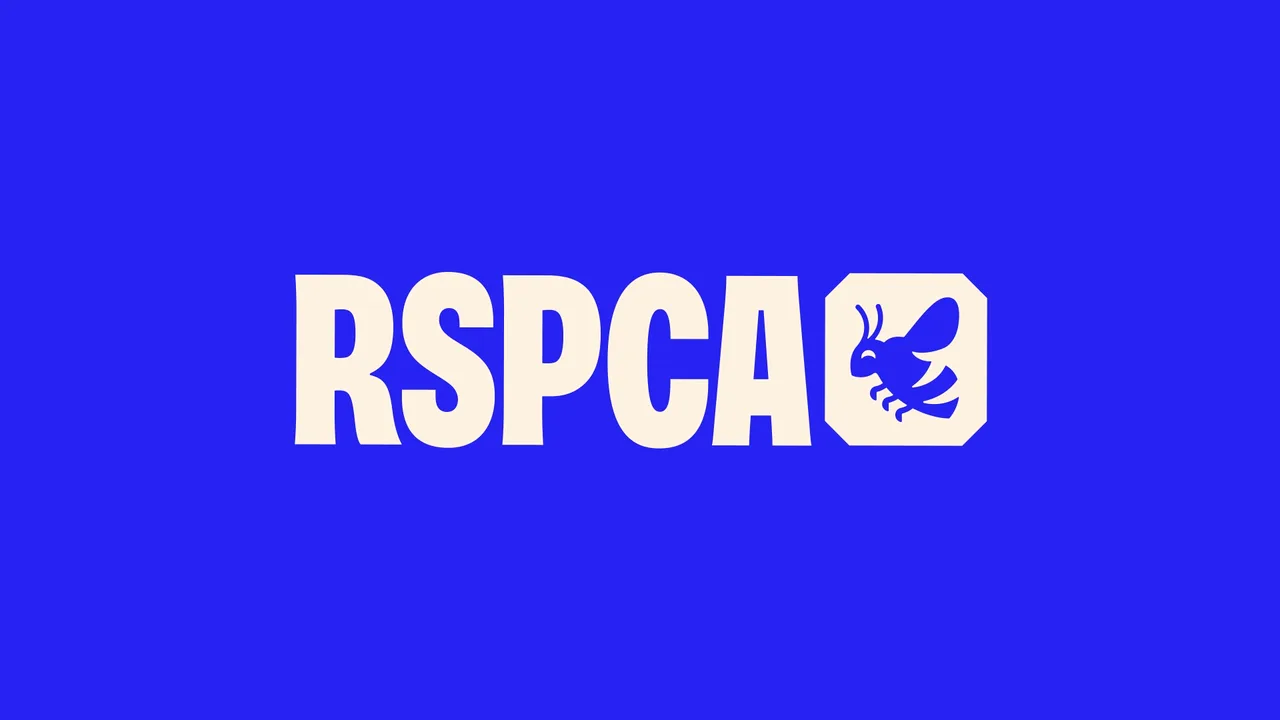 CLOSURE OF CAT SHELTER