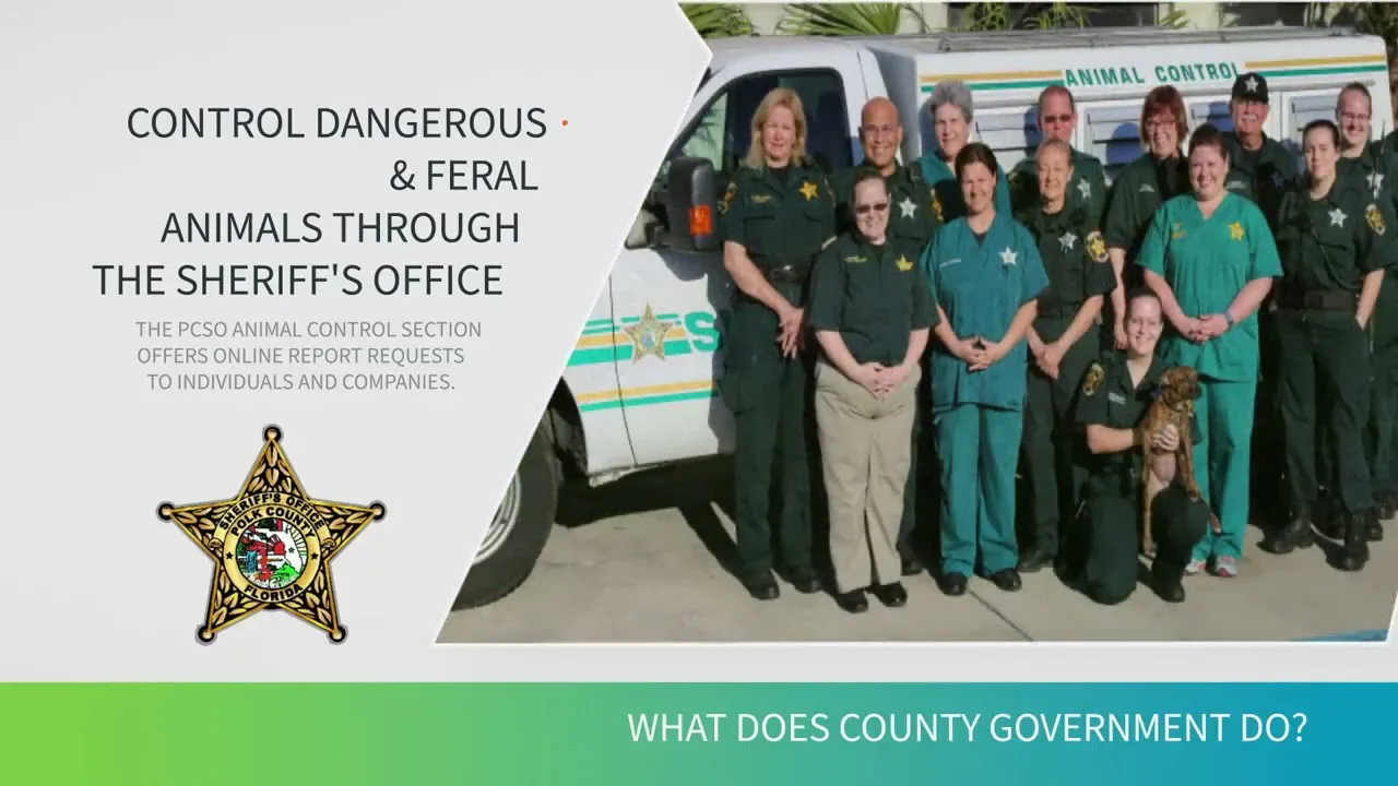 Polk county animal control is out of control