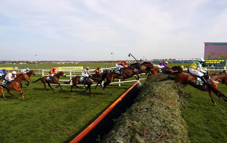 Get the Grand national banned