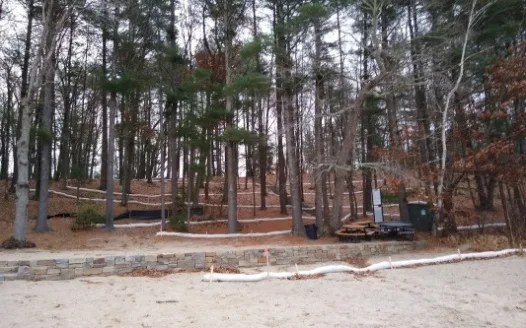 Request for Moratorium on White Pond Beach Improvement