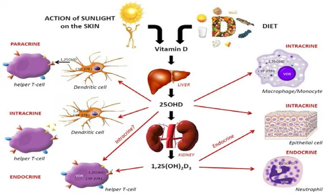 Oregon Health Authority -- Recommend Vitamin D3