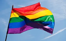 CHANGE THE IMMIGRATION LAW TO RECOGNISE GAY COUPLES