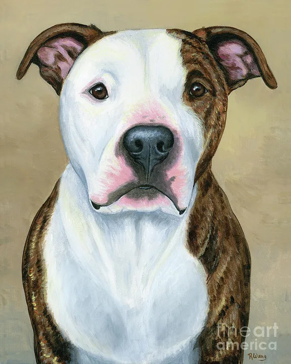 STOP THE BAN ON PIT BULL DOG BREEDS