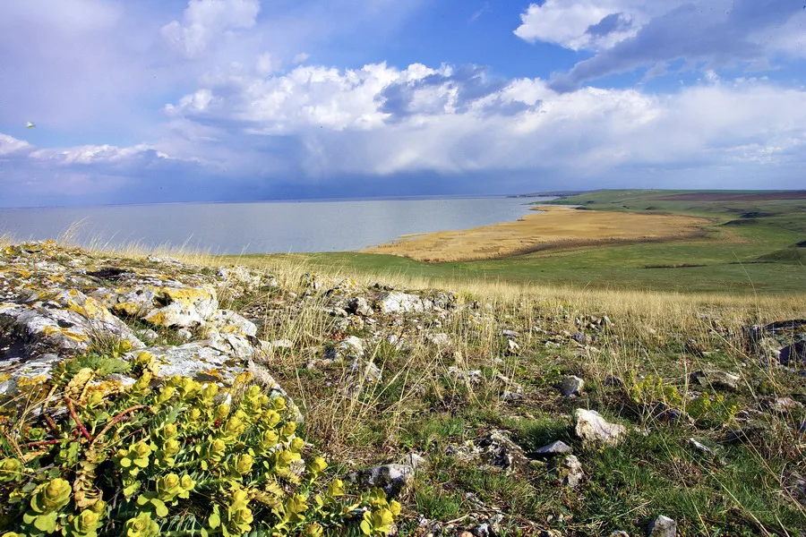 STOP PROIECTELOR ILEGALE DIN DOBROGEA!