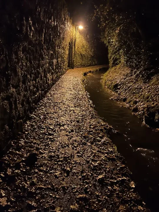 Save our Water Lanes