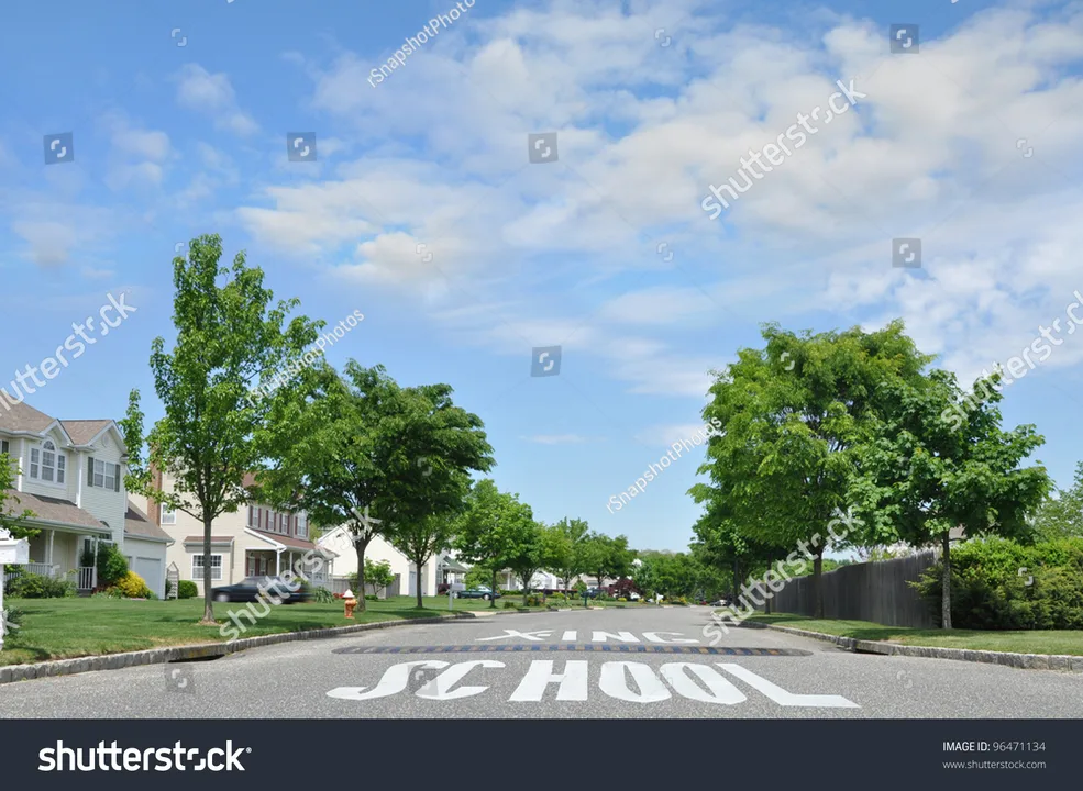 Make Shelby Street Safe