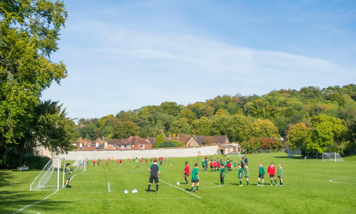 Petition in Opposition of the Sale of Hadleigh Juniors School Field to Developers