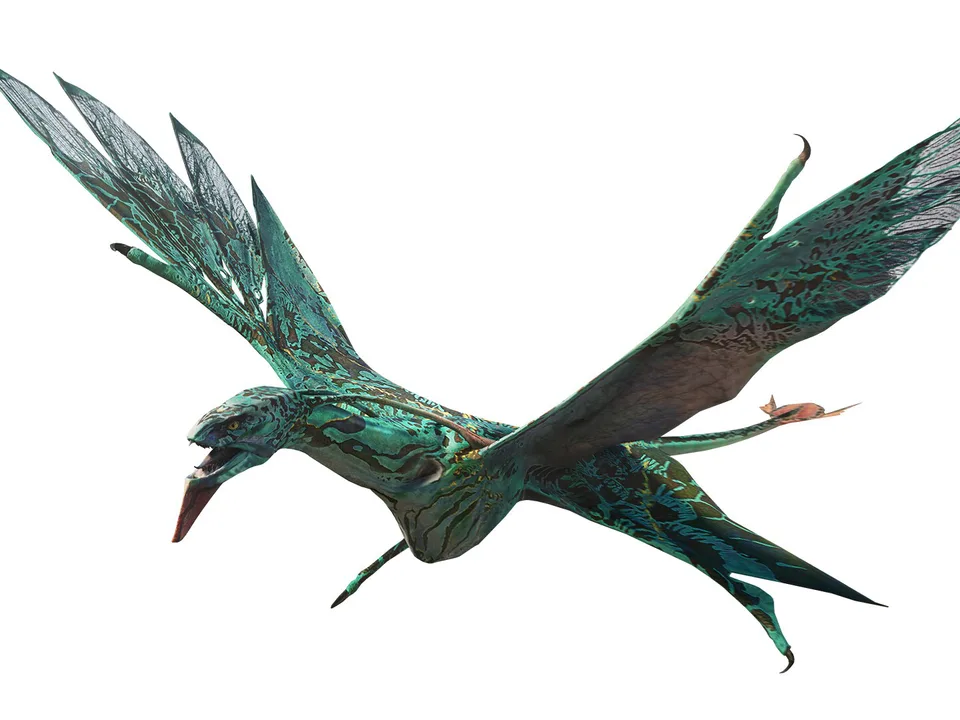 Petition to name the female Ikran Clan Leader "Hiyìk"