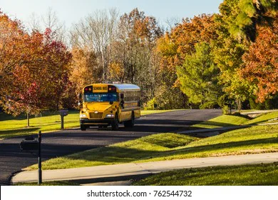 Killara School Buses