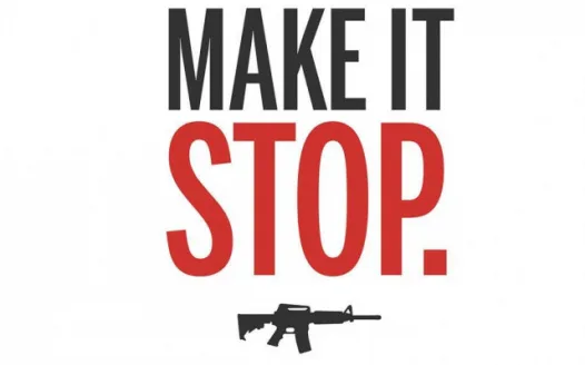 Make stricter gun laws