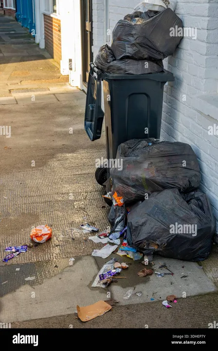 Empty Black Wheelie Bins Weekly Not Fortnightly