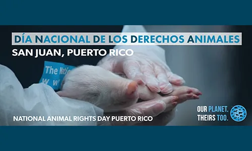 Declaración de los Derechos Animales