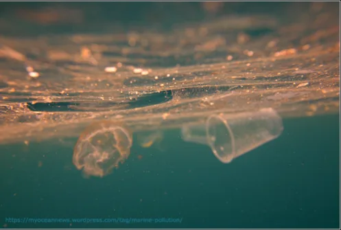 Replacement of disposable plastic cups with recyclable alternatives