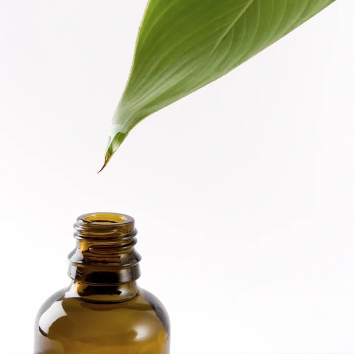 Naturopathy 2007: Choice is being taken away