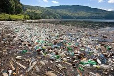 Littering Fines on Drivers and Citizens