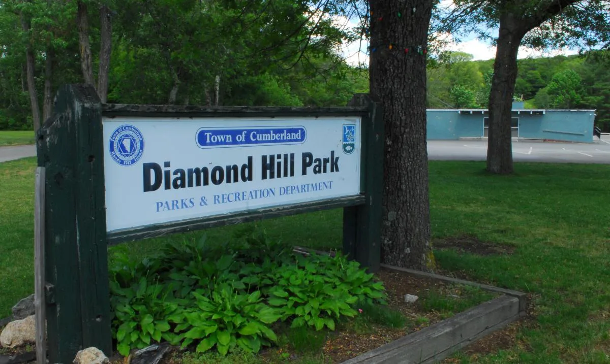 Save Diamond Hill