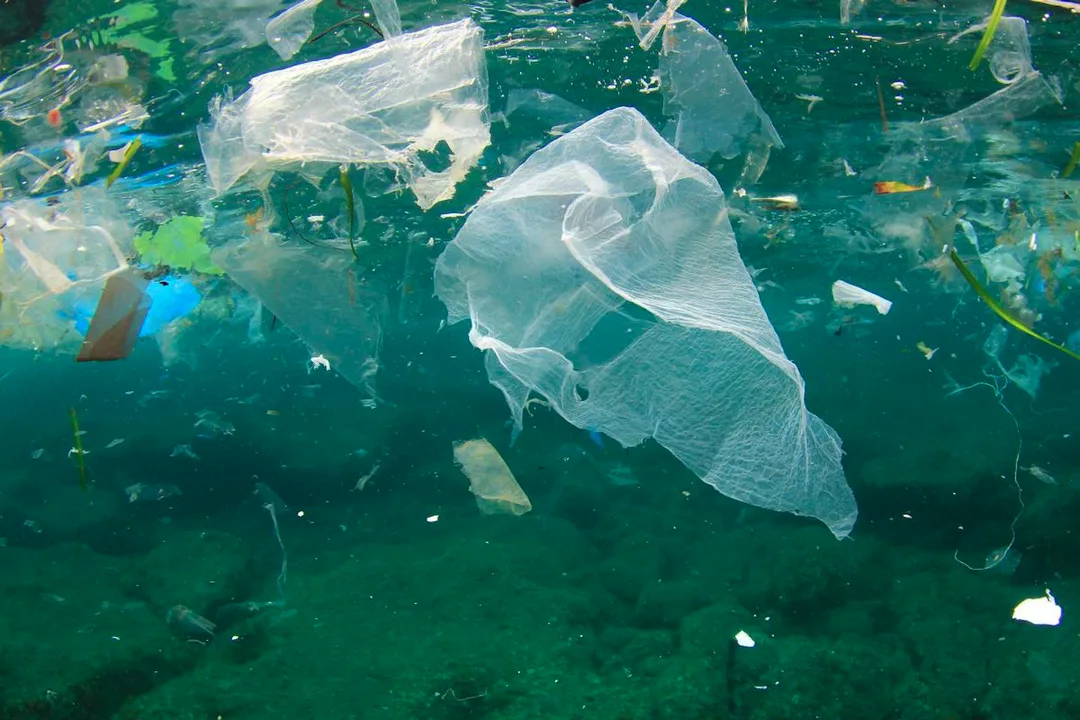 make the USA plastic bag free