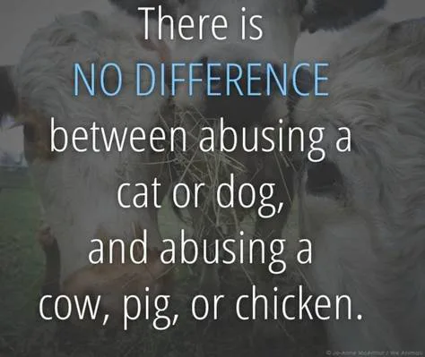 Petition to Confront Animal Cruelty in Factory Farms