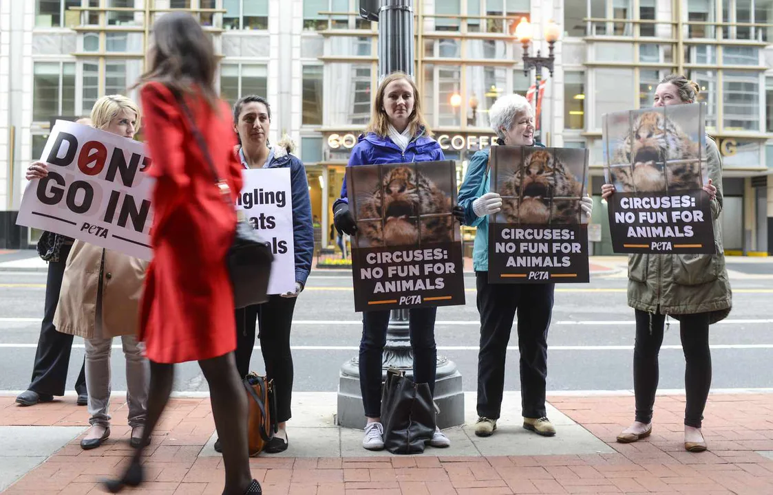 BAN THE CIRCUS
