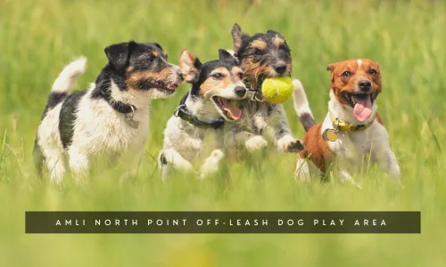 Off Leash Dog Park - AMLI North Point