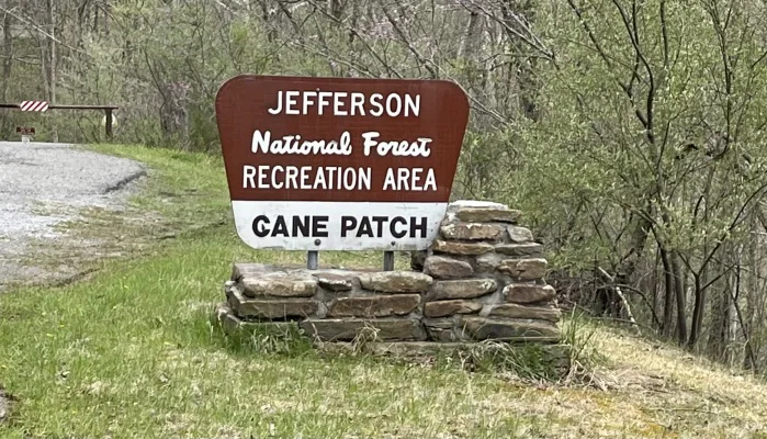 Friends of Cane Patch- Keep This Area Alive!