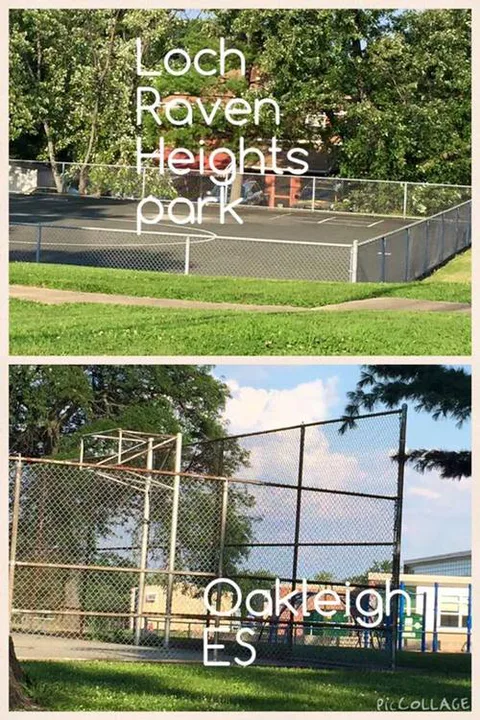 Bring the Basketball Hoops Back- Loch Raven/ Parkville