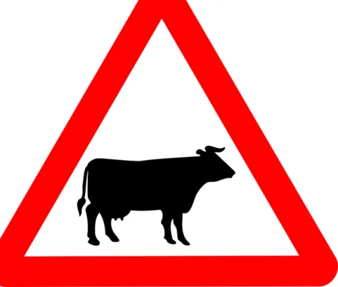 Put a Cap on Cattle Farming