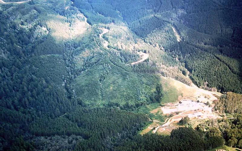 Save the Strzeleckis