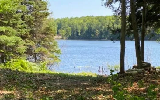 PETITION AGAINST HIAWATHA TOWNSHIP USE OF DODGE LAKE LOTS FOR PUBLIC PARK/ACCESS/BEACH