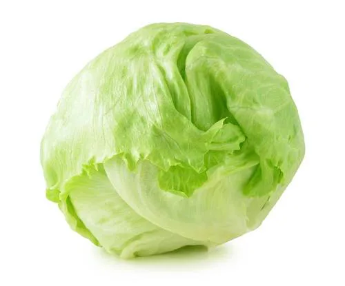 CHS Lettuce Club