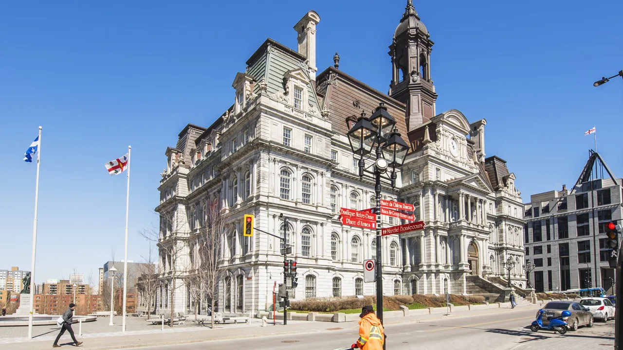 Pour une consultation publique sur la réintroduction de la poule pondeuse à Montréal (organisme)