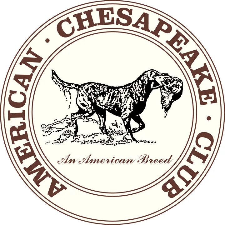 Release the American Chesapeake Club Judge’s poll results