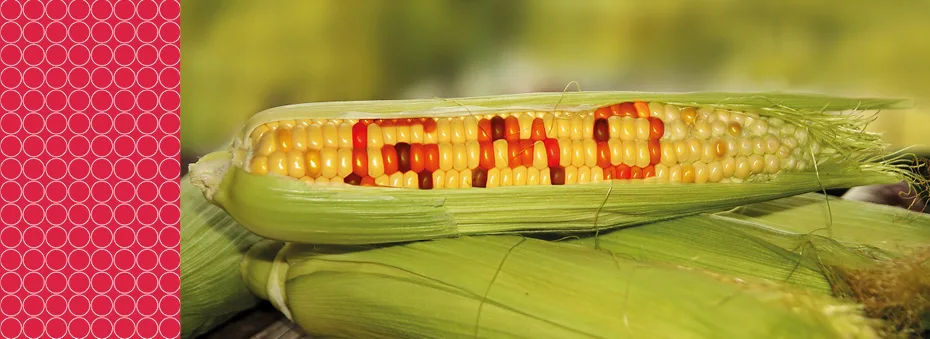 Ban Monsanto in Las Vegas