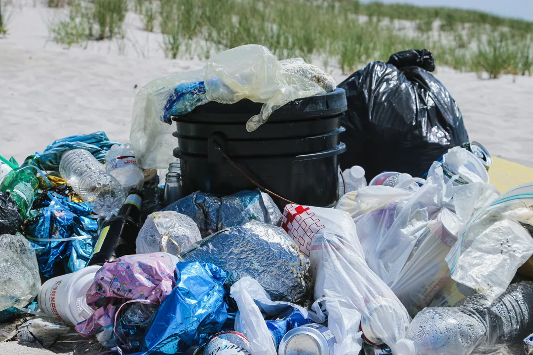 Single use plastic bag ban in Malden
